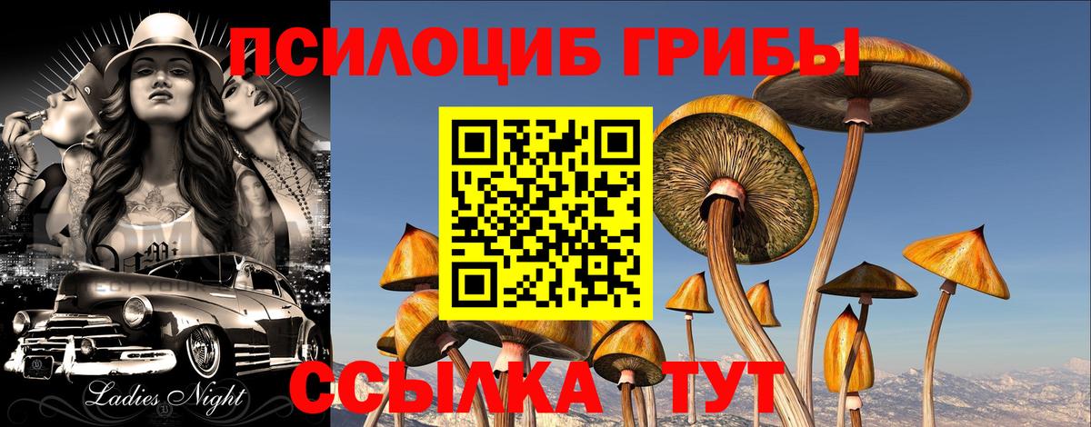 Екатеринбург  Галлюциногенные грибы Cubensis  Галлюциногенные грибы ЛСД  Вход с VPN 